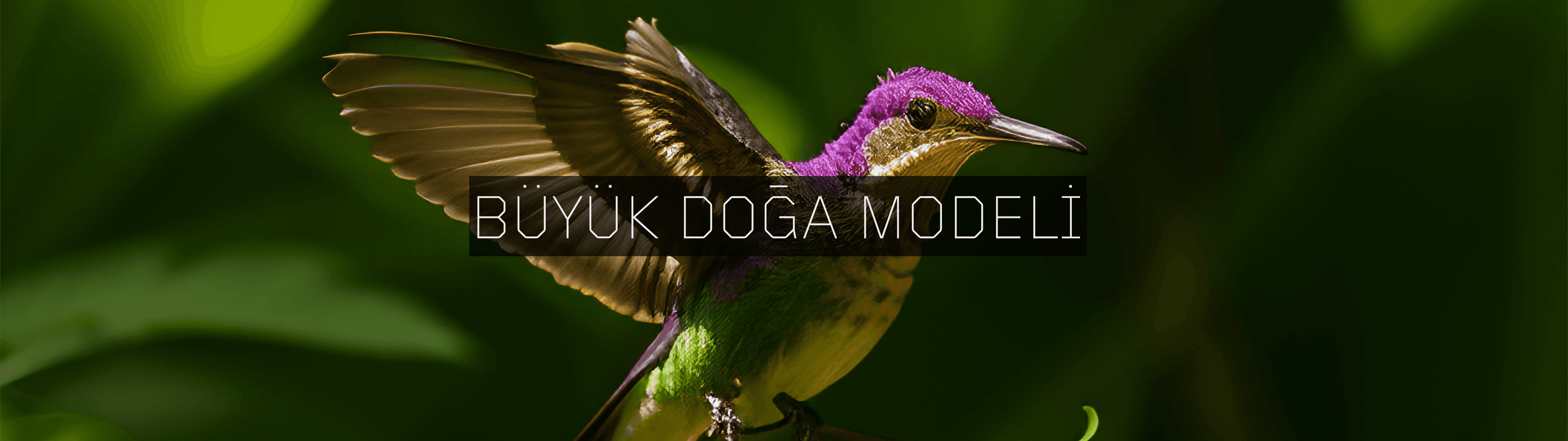 Refik Anadol'un Büyük Doğa Modeli: Türkiye