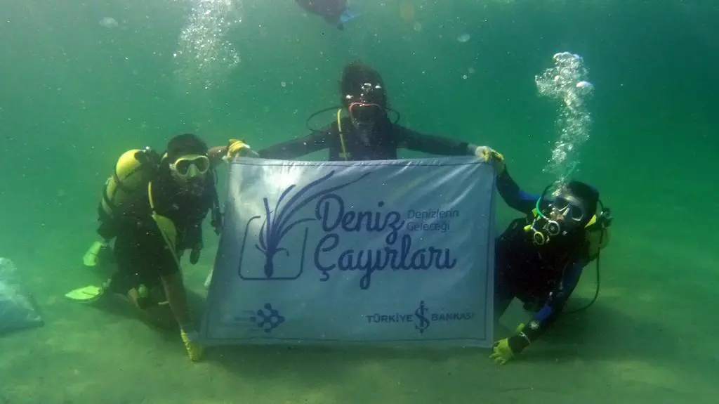 Denizlerin Geleceği: Deniz Çayırları 2