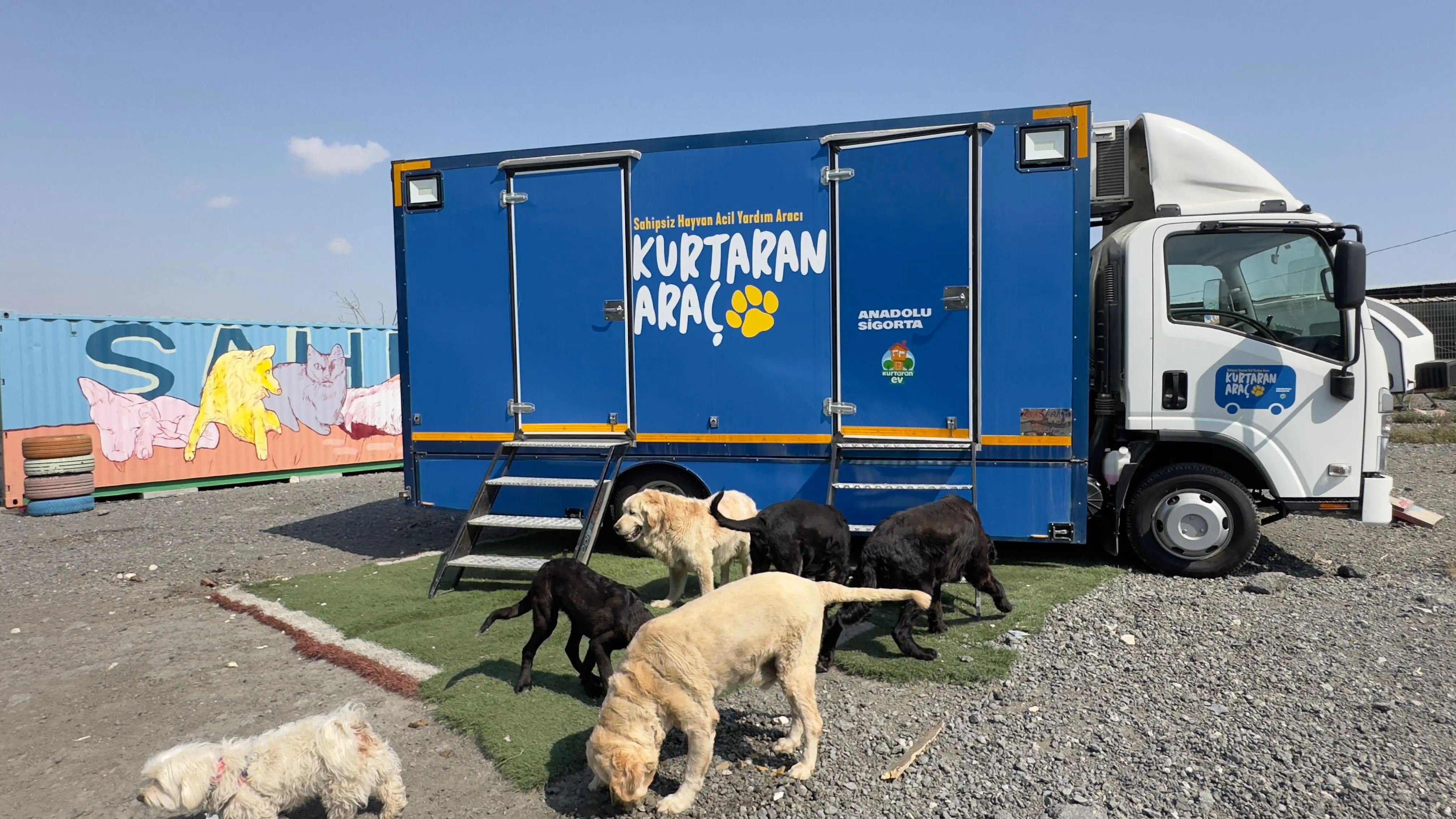 Anadolu Sigorta, Kurtaran Araç ile Sokak Hayvanlarının Rehabilitasyonuna Destek Oluyor