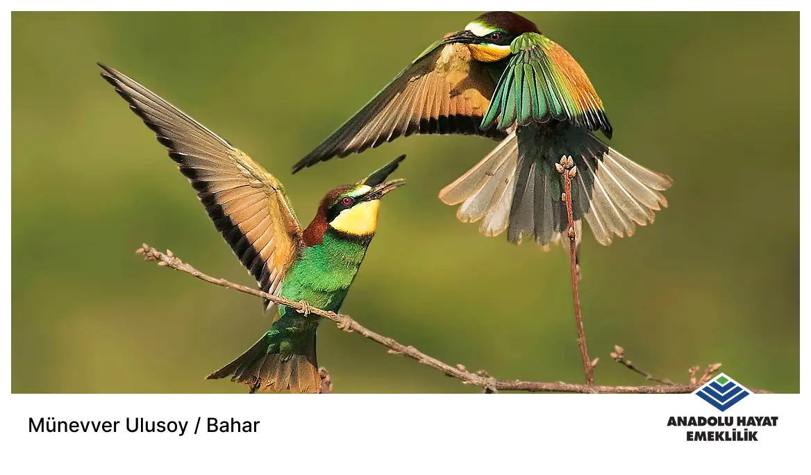 Kadın Gözüyle Hayattan Kareler Fotoğraf Yarışması 2025 Kataloğu - 4