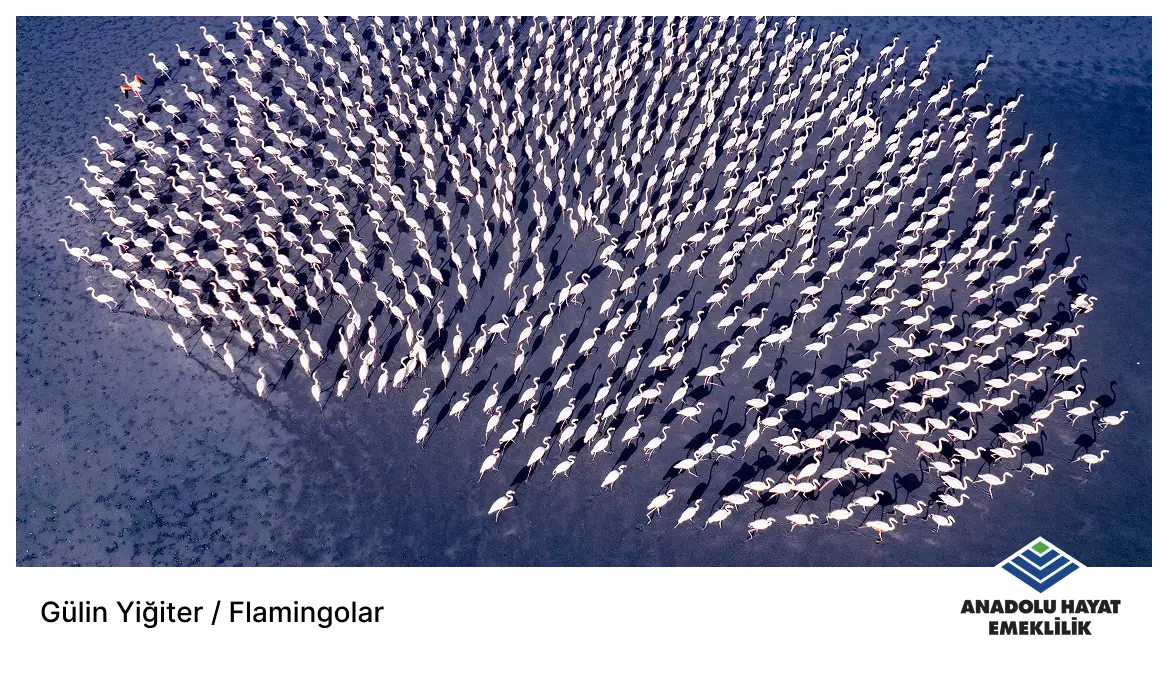 Kadın Gözüyle Hayattan Kareler Fotoğraf Yarışması 2025 Kataloğu - 3