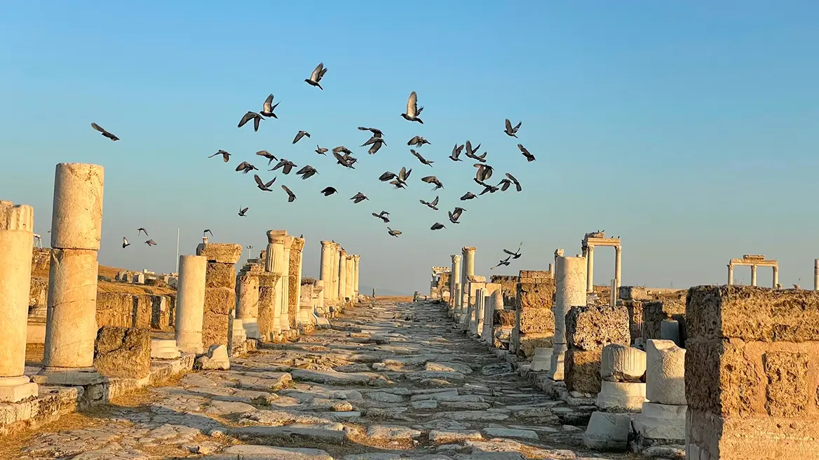 Arkeoloji Alanındaki Katkılar - 5