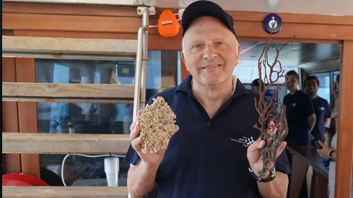 Denizlerin Ormanı Olan Mercanlar Neden Koruma Altına Alındı? - 3