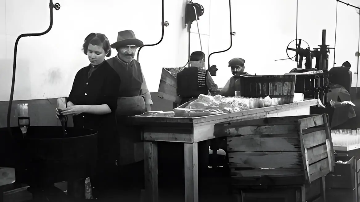 İştirakler ve 1950’li Yıllar