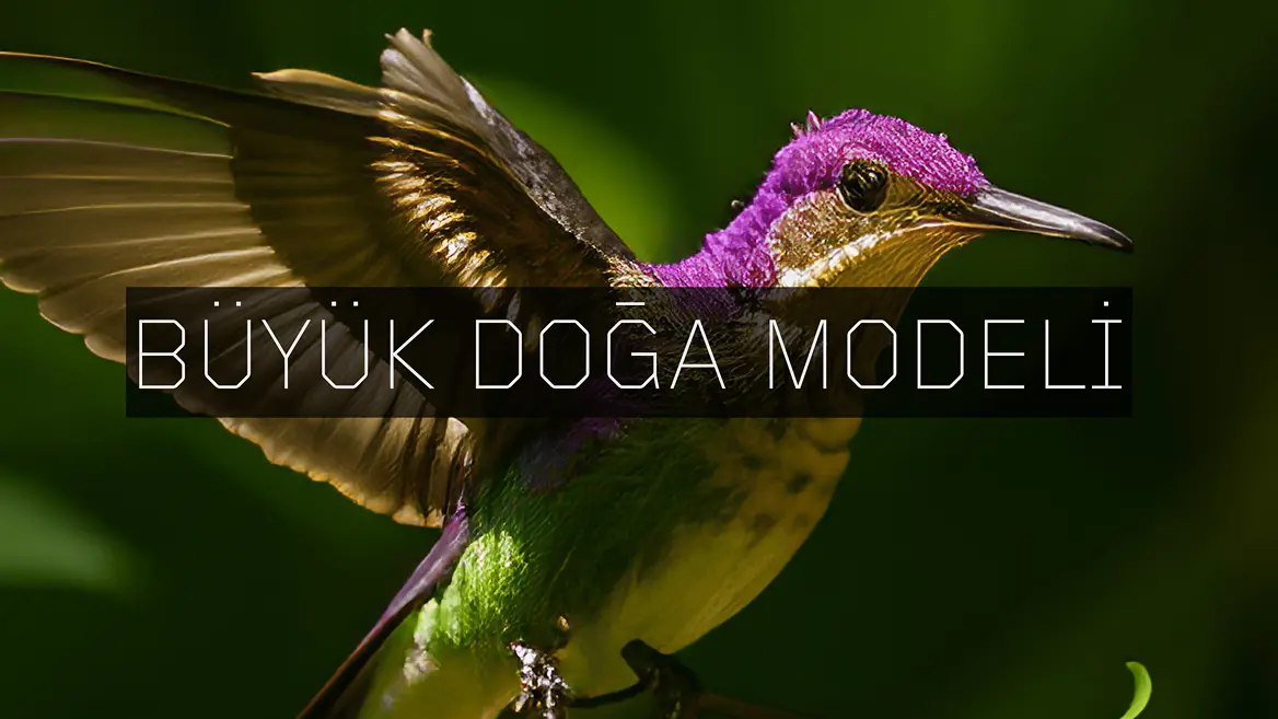 Refik Anadol'un Büyük Doğa Modeli: Türkiye