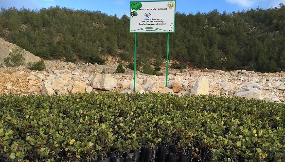 Şişecam Hatıra Ormanları 2