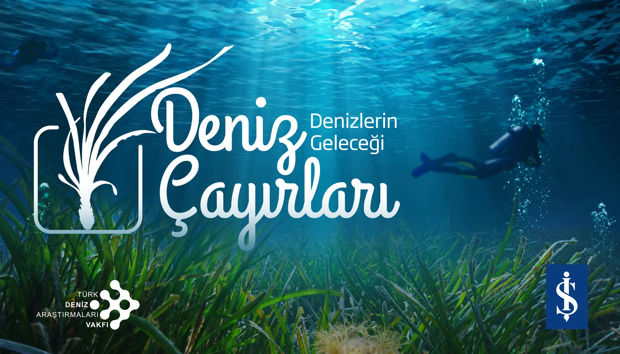 Denizlerin Geleceği: Deniz Çayırları