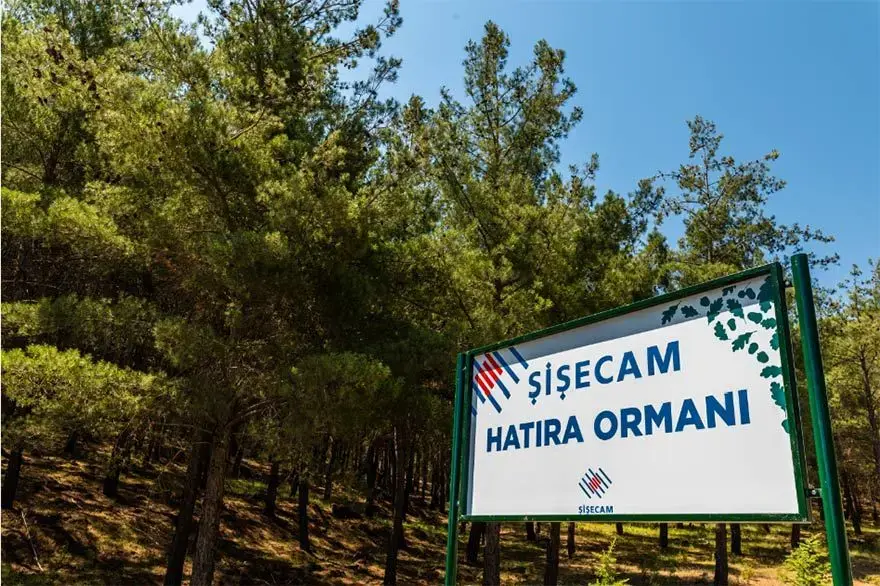 Şişecam Hatıra Ormanları